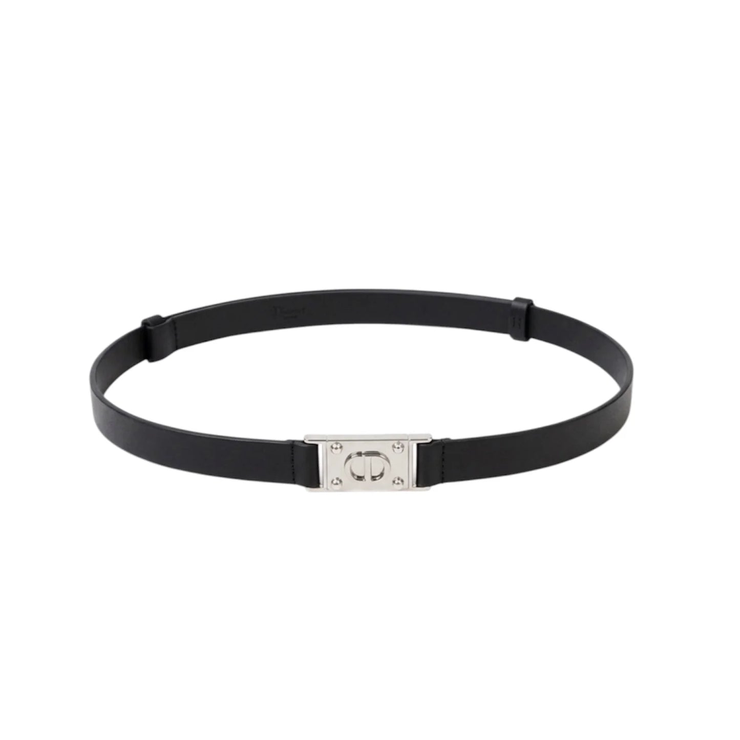DIOR belt