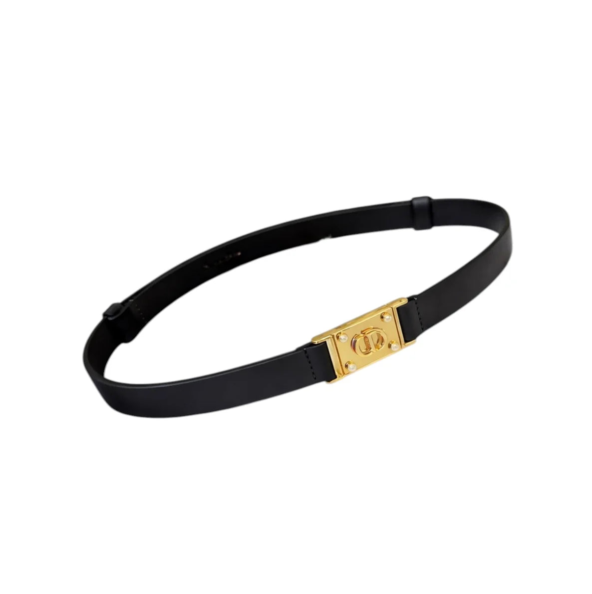 DIOR belt