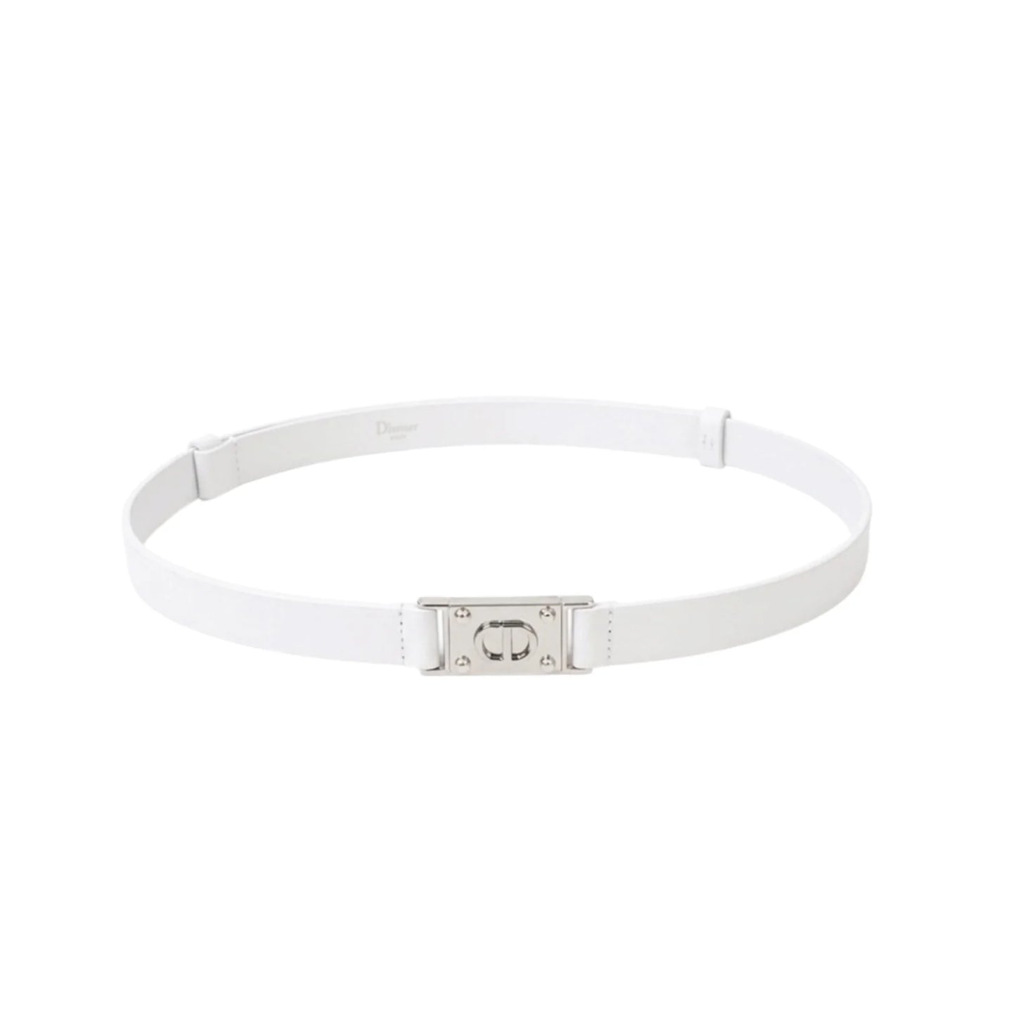 DIOR belt